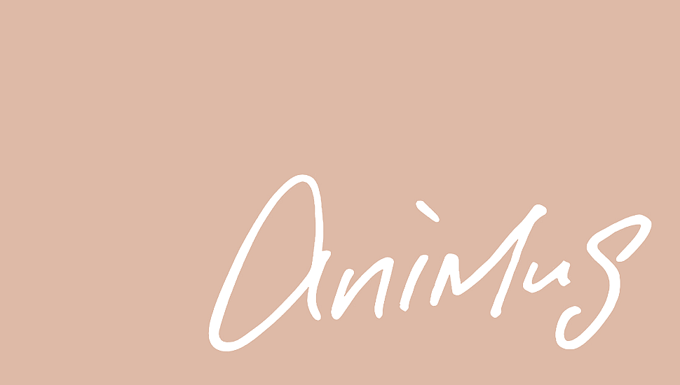 Official Website Renewal Open
